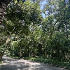 XIN SHI HUI User Photo