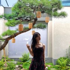 MO LI GUAN CHAO User Photo