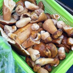 清芳餐厅 User Photo
