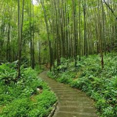 Zhaolaosixian'echang Hot Pot (pengzhoujiuchi) User Photo