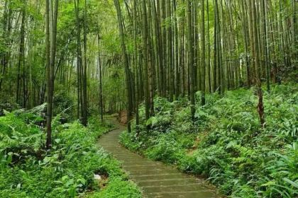 Zhaolaosixian'echang Hot Pot (pengzhoujiuchi)