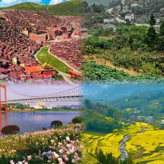 TOMATO MASTER User Photo