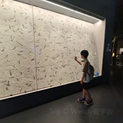 徐师傅太子锅(五中店) User Photo