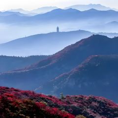 李氏下饭菜纸包鱼·私房菜 User Photo