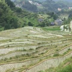 荣村农家乐 User Photo