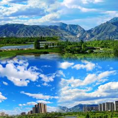 白老大羊杂碎稍麦 User Photo