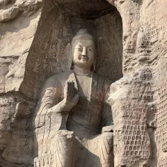 XINJIN TAO User Photo