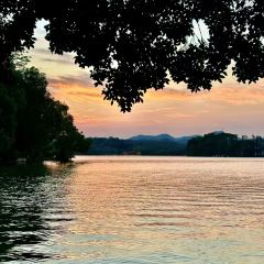 橫沥汤粉張用戶圖片