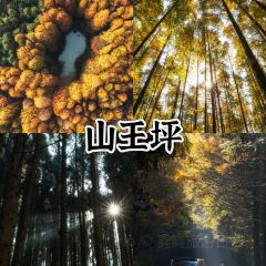 yang seafood User Photo