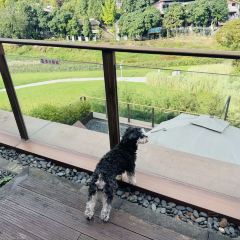 春山外精品汤屋度假酒店·悦食餐厅 여행 사진