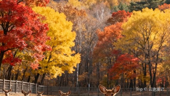 Liaoyuan City Zoo and Botanical Garden