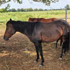 马守疆包头老馆子 User Photo