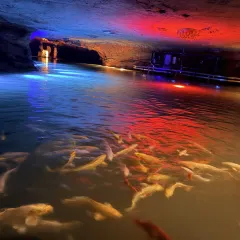 姚记面馆(瑶琳路店) 여행 사진