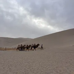 李广记杏皮茶 User Photo