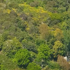 Din Tai Fung User Photo