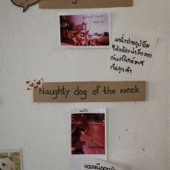 Elely Cafe’ แอลลี่ คาเฟ่張用戶圖片