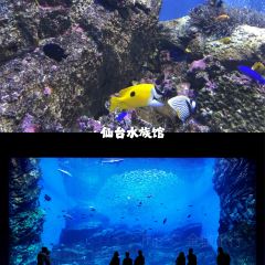 善治郎張用戶圖片