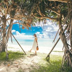 Kishimoto食堂（本店）張用戶圖片