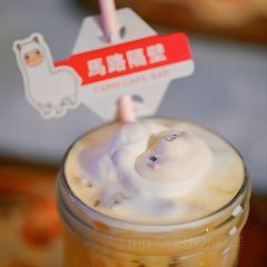 馬路隔壁羊駝咖啡BAR張用戶圖片