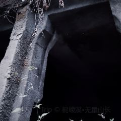 新桥河老鱼店 User Photo