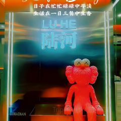 Lujiadian (lufeng) User Photo