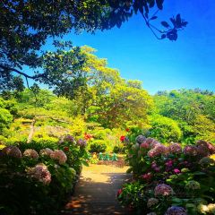 Manor Blanc User Photo