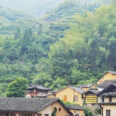 永和魚館張用戶圖片