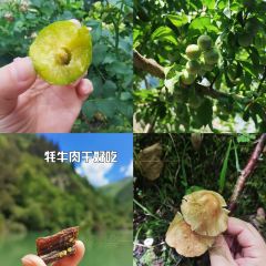 品味农家铜锅馆 User Photo