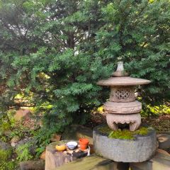 许苑咖啡 User Photo