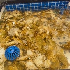 圣保罗自助海鲜烤肉店(兴城店) User Photo