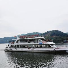 ZHEN YANG FANG User Photo