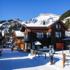 Panorama Restaurant Allmendhubel User Photo