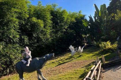 和梅水塔咖啡店