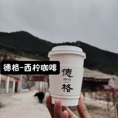 西柠咖啡 User Photo
