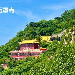 桑梓豆片早点(白塔寺店) User Photo