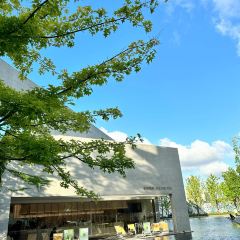 Seeing Tea User Photo