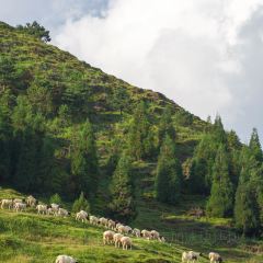 微拾味·新派湘菜(爱莲湖店) User Photo