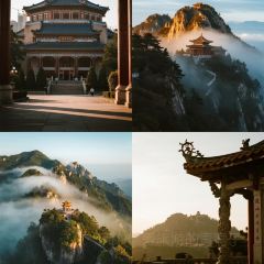 CHUN TAI SHOU ZHUA User Photo