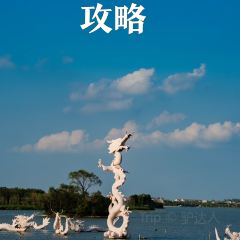 张记逍遥胡辣汤(大坑沿街店) User Photo