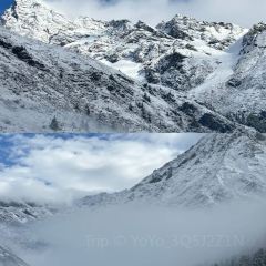 ZA QI ZA BA NIU ZA TANG GUO User Photo