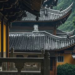 梦月山庄中餐厅 User Photo