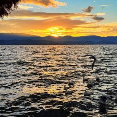 IN MY HEART User Photo