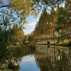 聚春園(南后街店)張用戶圖片