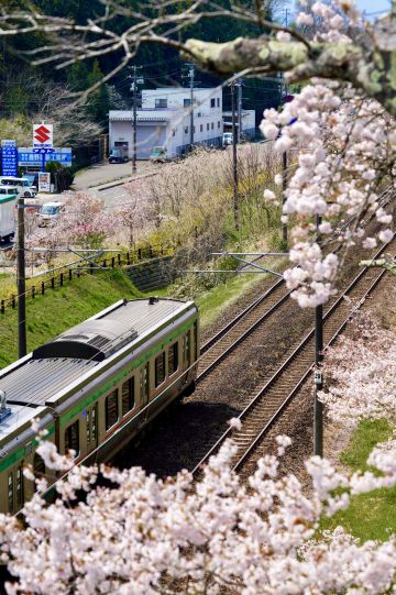 Funaoka Castle Ruins Park
