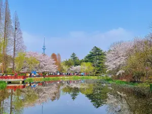 Zhongshan Park