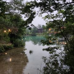 仙店农庄(湖景农庄餐厅) User Photo