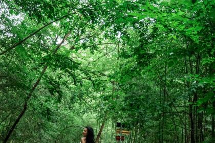 青芷森林·咖啡店