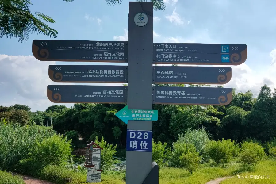 三水雲東海國家濕地公園