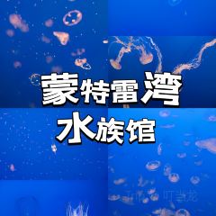 Fish Hopper 여행 사진