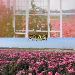 云间花境餐厅 User Photo